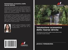 Bookcover of Valutazione economica delle risorse idriche