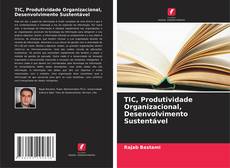 TIC, Produtividade Organizacional, Desenvolvimento Sustentável kitap kapağı