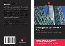 Buchcover von Instituições de Direito Público Relevantes