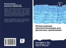 Portada del libro de Использование цеолита/полимера для различных применений