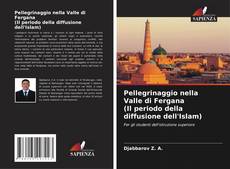 Buchcover von Pellegrinaggio nella Valle di Fergana (Il periodo della diffusione dell'Islam)