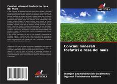 Bookcover of Concimi minerali fosfatici e resa del mais