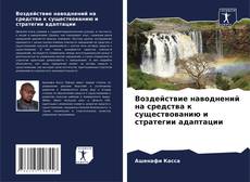 Buchcover von Воздействие наводнений на средства к существованию и стратегии адаптации