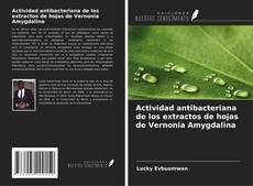 Actividad antibacteriana de los extractos de hojas de Vernonia Amygdalina的封面