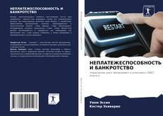 Buchcover von НЕПЛАТЕЖЕСПОСОБНОСТЬ И БАНКРОТСТВО