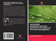 Portada del libro de Actividade Antibacteriana dos Extractos de Folhas de Vernonia Amygdalina
