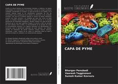 Обложка CAPA DE PYME