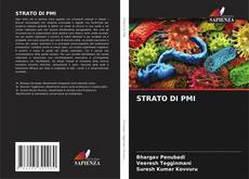 Bookcover of STRATO DI PMI