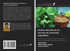 Buchcover von Gestión eficiente de los recursos de nutrientes disponibles