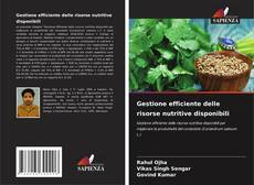 Bookcover of Gestione efficiente delle risorse nutritive disponibili