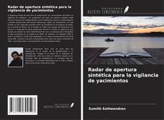 Radar de apertura sintética para la vigilancia de yacimientos的封面