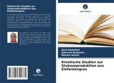 Buchcover von Kinetische Studien zur Glukoseproduktion aus Elefantengras
