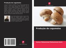 Produção de cogumelos的封面