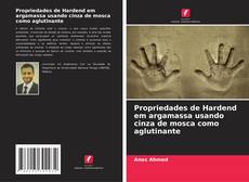 Buchcover von Propriedades de Hardend em argamassa usando cinza de mosca como aglutinante