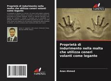 Copertina di Proprietà di indurimento nella malta che utilizza ceneri volanti come legante