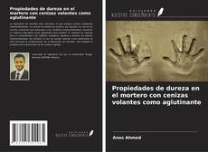 Capa do livro de Propiedades de dureza en el mortero con cenizas volantes como aglutinante 