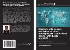 Buchcover von Enrutamiento seguro mediante técnicas bioinspiradas - Un camino desde ICMN hasta ICMANET