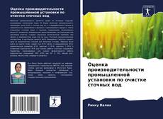 Bookcover of Оценка производительности промышленной установки по очистке сточных вод