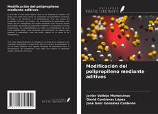 Copertina di Modificación del polipropileno mediante aditivos
