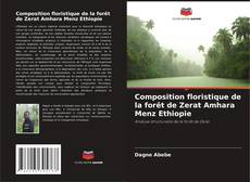 Composition floristique de la forêt de Zerat Amhara Menz Ethiopie kitap kapağı