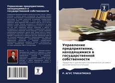 Bookcover of Управление предприятиями, находящимися в государственной собственности