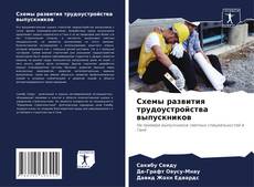 Buchcover von Схемы развития трудоустройства выпускников