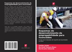 Bookcover of Esquemas de desenvolvimento da empregabilidade para licenciados