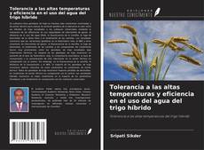 Bookcover of Tolerancia a las altas temperaturas y eficiencia en el uso del agua del trigo híbrido