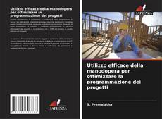 Capa do livro de Utilizzo efficace della manodopera per ottimizzare la programmazione dei progetti 