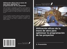 Bookcover of Utilización eficaz de la mano de obra para optimizar la programación de los proyectos