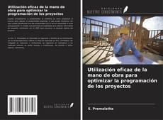 Copertina di Utilización eficaz de la mano de obra para optimizar la programación de los proyectos