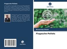 Buchcover von Flugasche-Pellets