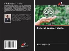 Bookcover of Pellet di cenere volante