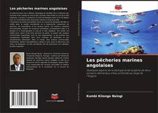 Les pêcheries marines angolaises kitap kapağı
