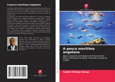Buchcover von A pesca marítima angolana