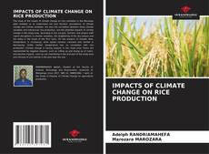 Capa do livro de IMPACTS OF CLIMATE CHANGE ON RICE PRODUCTION 