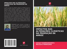 Обложка IMPACTOS DAS ALTERAÇÕES CLIMÁTICAS NA PRODUÇÃO DE ARROZ