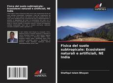 Bookcover of Fisica del suolo subtropicale: Ecosistemi naturali e artificiali, NE India