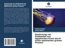 Capa do livro de Gewinnung von Goldmetall aus ägyptischen Erzen durch einen optimierten grünen Prozess 