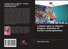 Copertina di L'ethnie Igbo au Nigeria : Origine, évolution et formes contemporaines