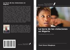 Copertina di La lacra de las violaciones en Nigeria