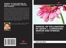 Bookcover of MANUAL OF POLLINATORS OF AJUGA L. (LAMIACEAE) IBERIAN AND HYBRIDS