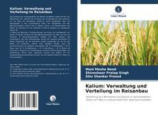 Обложка Kalium: Verwaltung und Verteilung im Reisanbau