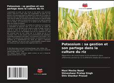 Potassium : sa gestion et son partage dans la culture du riz的封面