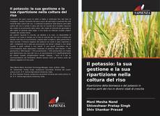 Buchcover von Il potassio: la sua gestione e la sua ripartizione nella coltura del riso