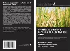 Capa do livro de Potasio: su gestión y partición en el cultivo del arroz 