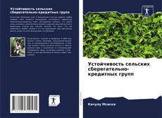 Bookcover of Устойчивость сельских сберегательно-кредитных групп