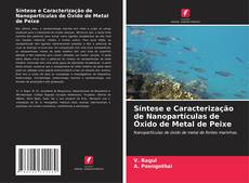 Обложка Síntese e Caracterização de Nanopartículas de Óxido de Metal de Peixe