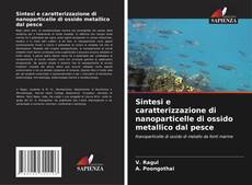 Bookcover of Sintesi e caratterizzazione di nanoparticelle di ossido metallico dal pesce