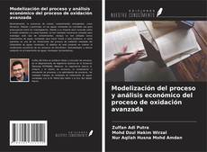 Copertina di Modelización del proceso y análisis económico del proceso de oxidación avanzada